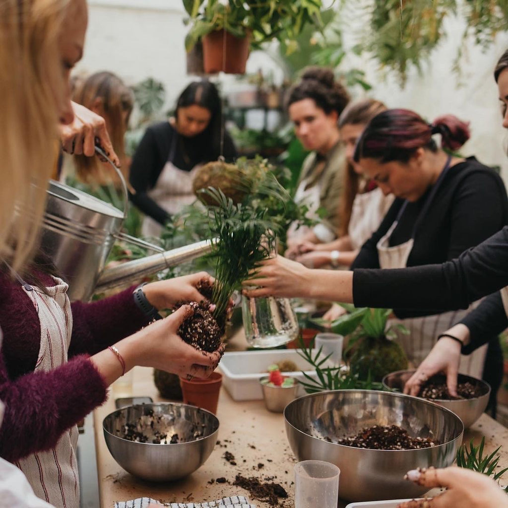 ✨🪴Kokedama Workshop 🪴✨