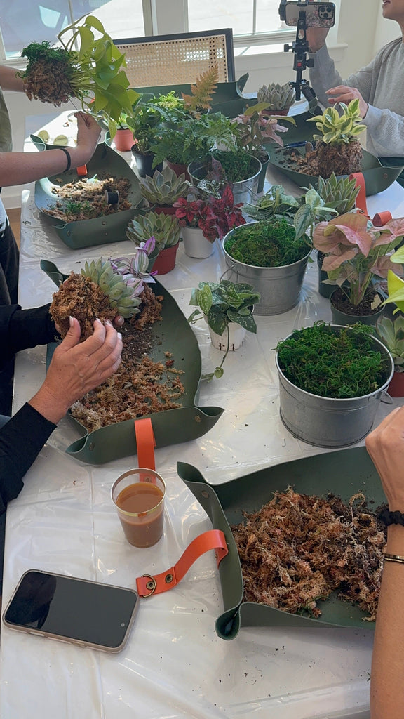 ✨🪴Kokedama Workshop 🪴✨