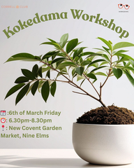 ✨🪴Kokedama Workshop 🪴✨